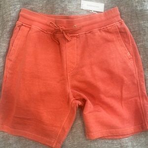 Outerknown Shorts